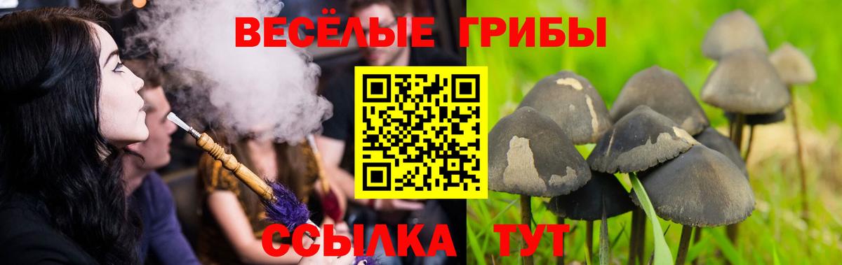 Псилоцибиновые грибы ЛСД Котлас